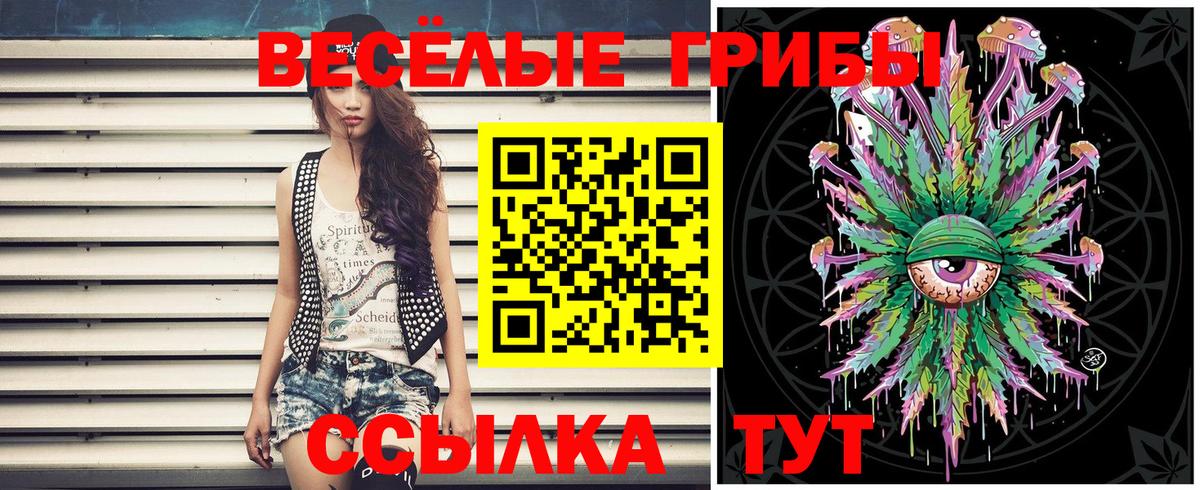 Псилоцибиновые грибы Psilocybe Усинск